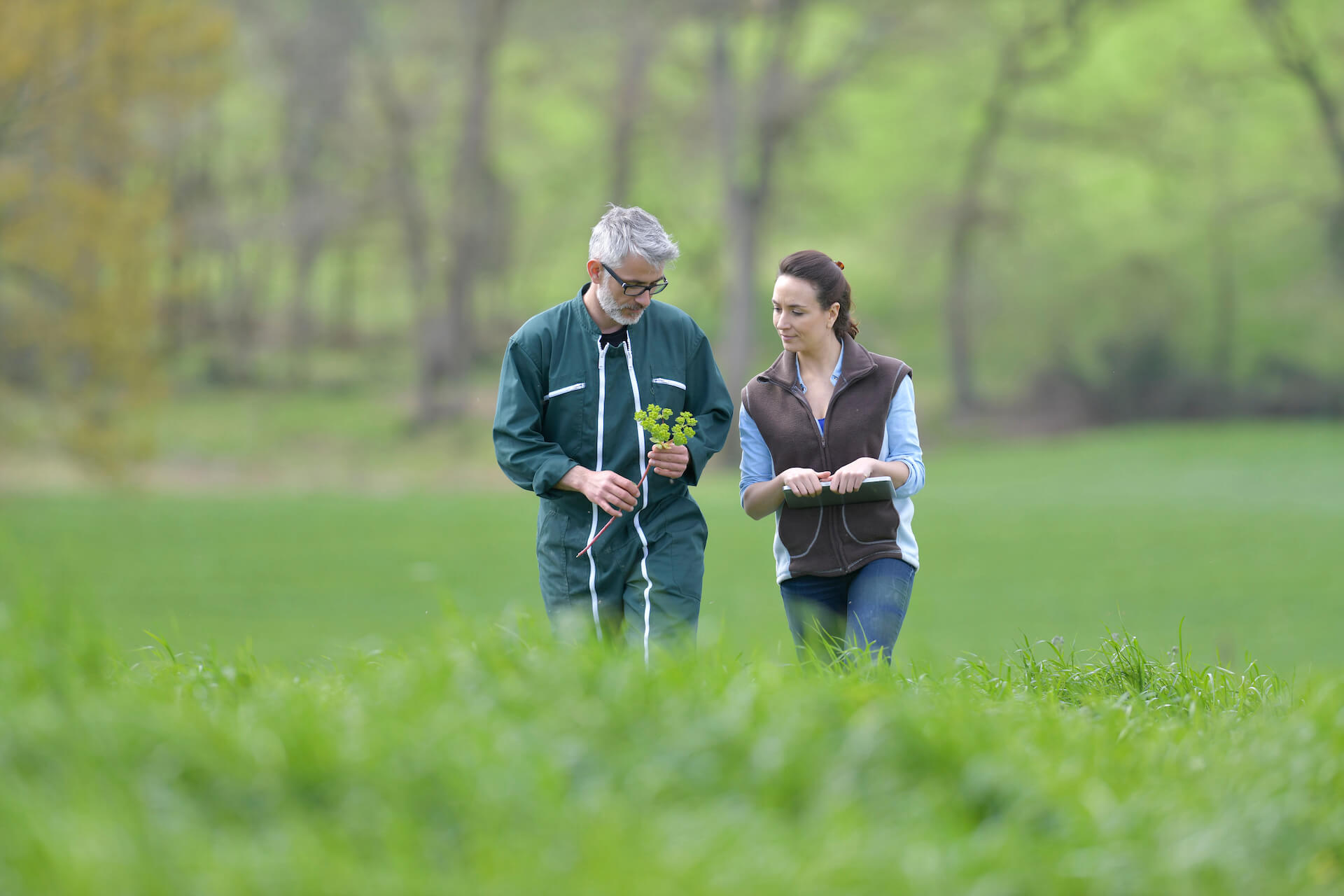 UCD Teagasc Knowledge Transfer Funded Masters 2024